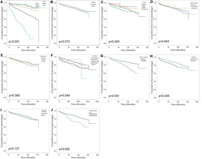 Incidence, Prognostic Factors and Survival for Hemangioblastoma of the Central Nervous System: Analysis Based on the Surveillance, Epidemiology, and End Results Database